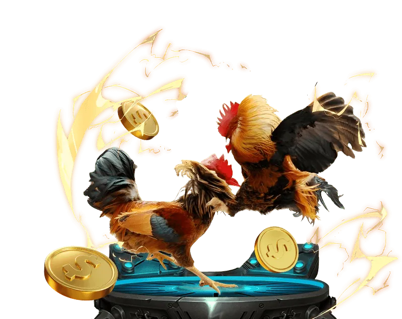 Hoàn trả cược asia99